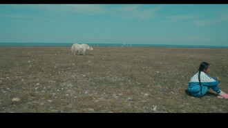 The White Yak Trailer
