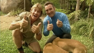 The Wiggles: Wiggly Safari Trailer