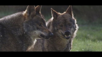 The Wild Heart of Spain Trailer
