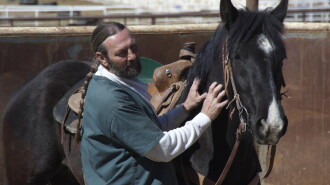 The Wild Horse Redemption Trailer