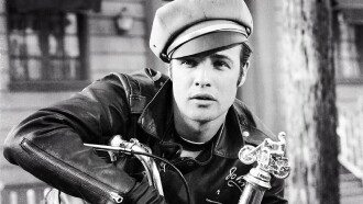 The Wild One Trailer