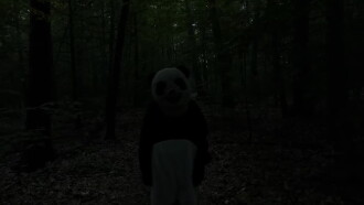 The Wild Panda Trailer