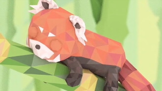 The Wild Variety Trailer