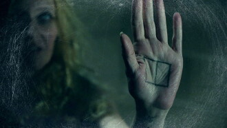 The Window Trailer
