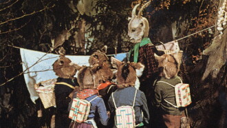 The Wolf and the Seven Little Goats Trailer