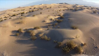 The Women in the Sand Trailer