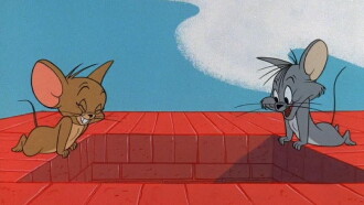 The Year of the Mouse Trailer