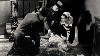 The Yellow Dog Trailer