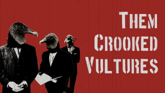 Them Crooked Vultures Austin City Limits Trailer