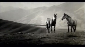 There Are Horses Trailer