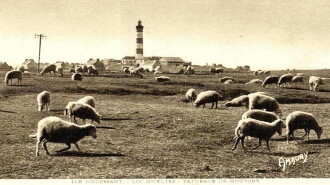 There was oil in Ouessant island Trailer