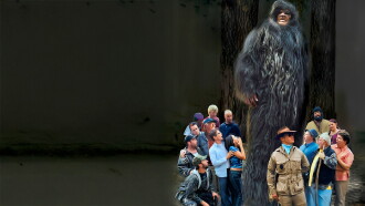 They Call Him Sasquatch Trailer