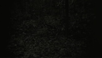 They Can Be Seen From A Distance Trailer