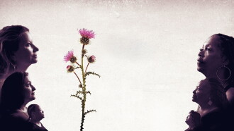 Thistle Trailer