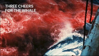 Three Cheers for the Whale Trailer