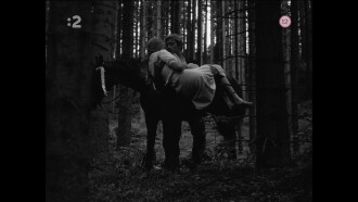 Three Chestnut Horses Trailer