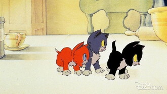 Three Orphan Kittens Trailer