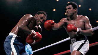 Thrilla in Manila Trailer