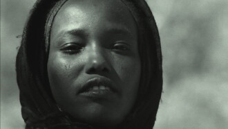 Tibesti Too Trailer