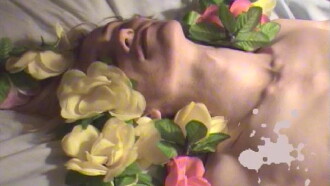 Tickled Pink Trailer
