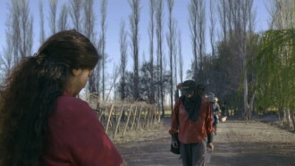 Tiempo de Cosecha Trailer
