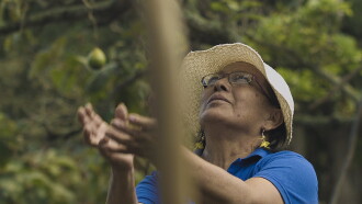 Tierra de mujeres Trailer