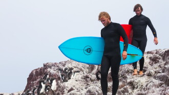 Tierra de Patagones: Six Months in Patagonia Trailer