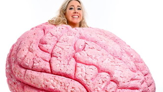 Tiff Stevenson: Sexy Brain Trailer
