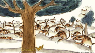 Tigers Tied Up in One Rope Trailer