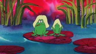 Tijuana Toads Trailer