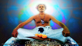 Timothy Leary's Dead Trailer
