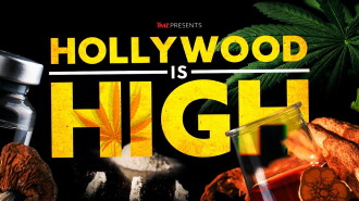 TMZ Presents: Hollywood is High Trailer