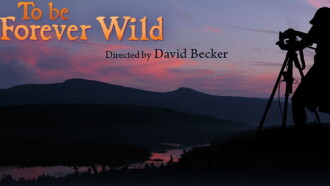 To Be Forever Wild Trailer