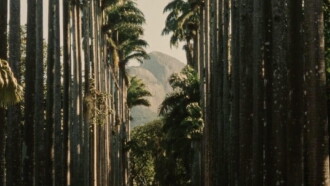 To Brasil Trailer