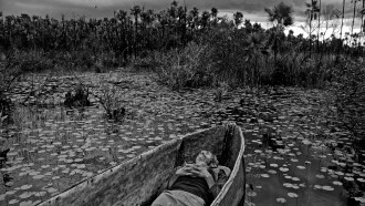 To the West, in Zapata Trailer