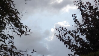 today, it’s raining Trailer
