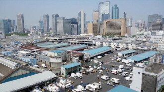 Tokyo, il était une fois le marché aux poissons Trailer