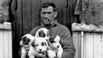 Tom Crean: Antarctica's Forgotten Hero Trailer