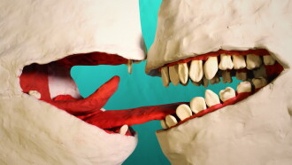 Toothache Trailer