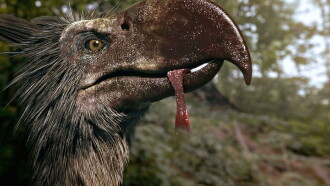 Top Ten Deadliest Beasts Trailer