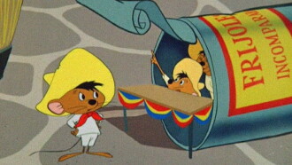 Tortilla Flaps Trailer
