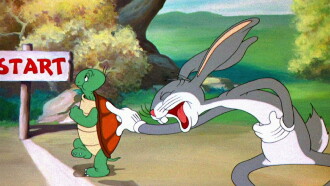 Tortoise Beats Hare Trailer