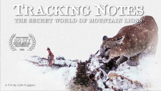 Tracking Notes Trailer