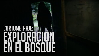 Tragic Search in the Woods Trailer