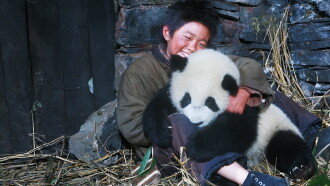 Trail of the Panda Trailer
