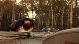 Trailer Park Shark Trailer
