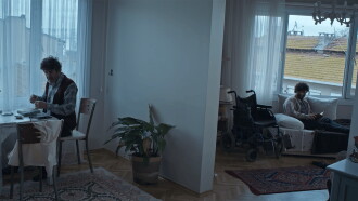 Trees I Remember Trailer