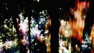 Trees of Syntax, Leaves of Axis Trailer