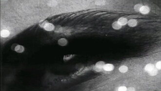 Triptych on Matter and Death Trailer
