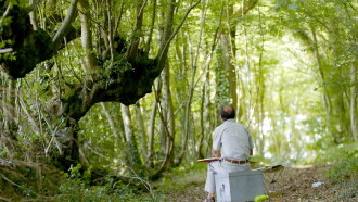 Trognes, les arbres aux mille visages Trailer